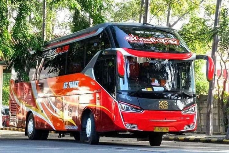 Bus Wisata